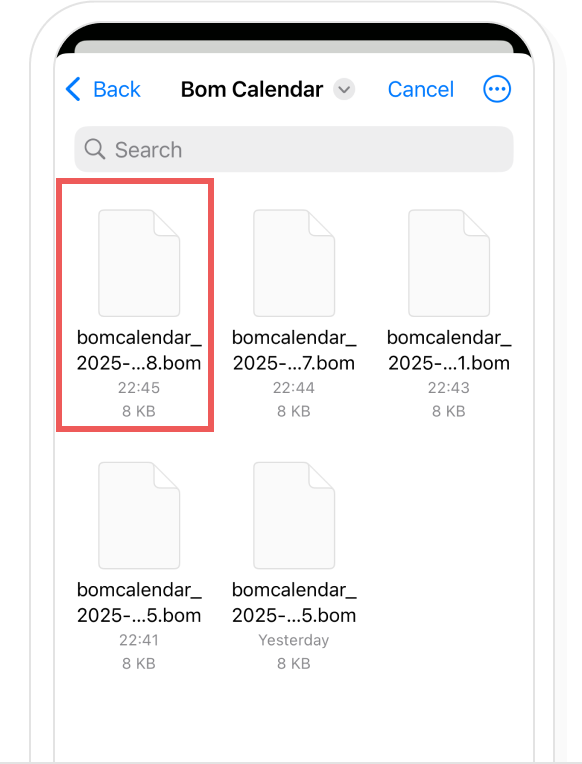 iOS data restore, step 5