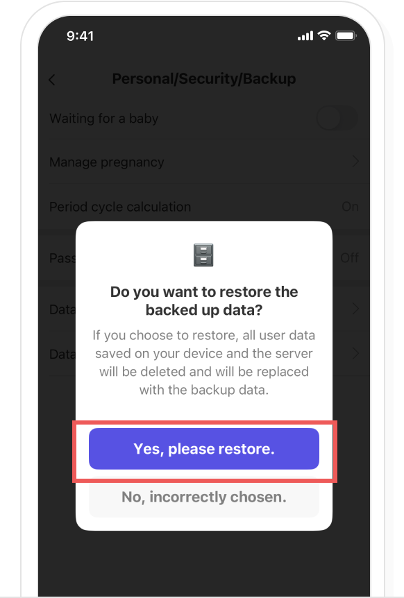 iOS data restore, step 6