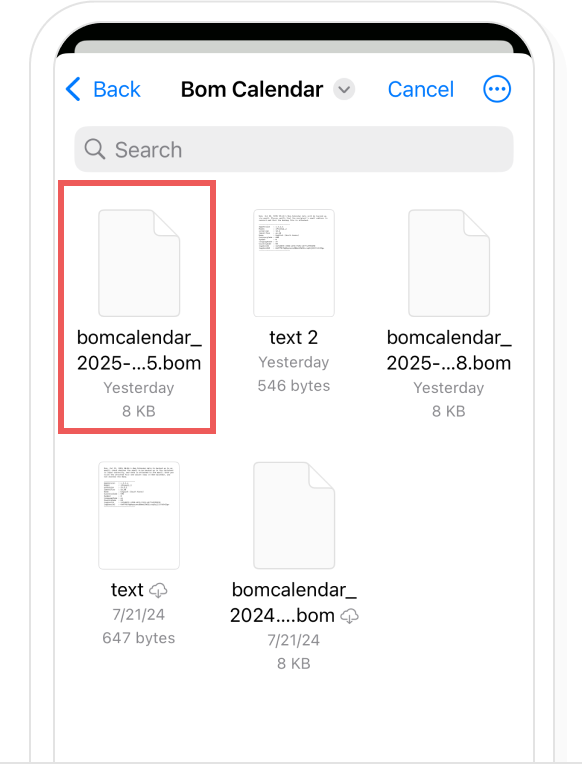 iOS data restore, step 8